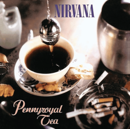 makna-lagu-pennyroyal-tea-nirvana