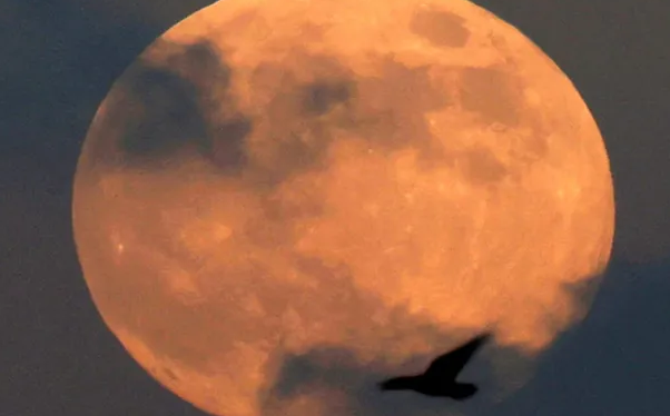 Review Makna Lagu Moon: Bulan yang Indah